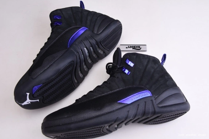 Rep LUCY Retro 12 CT8013 'Dark Jordan 005 Air Concord' 0722